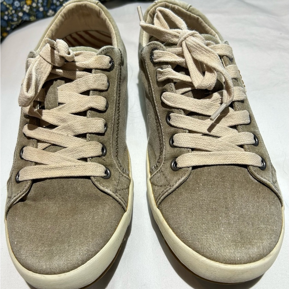 Taos Star Lace up Shoes in Khaki Washed Canvas